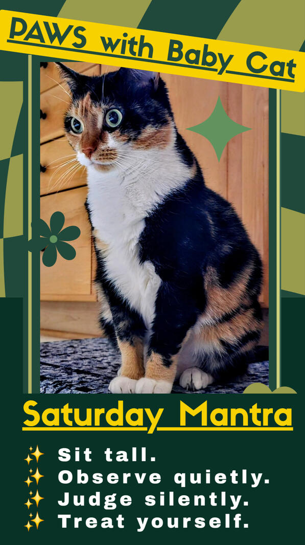 😸 Mantra 😸 Mantra