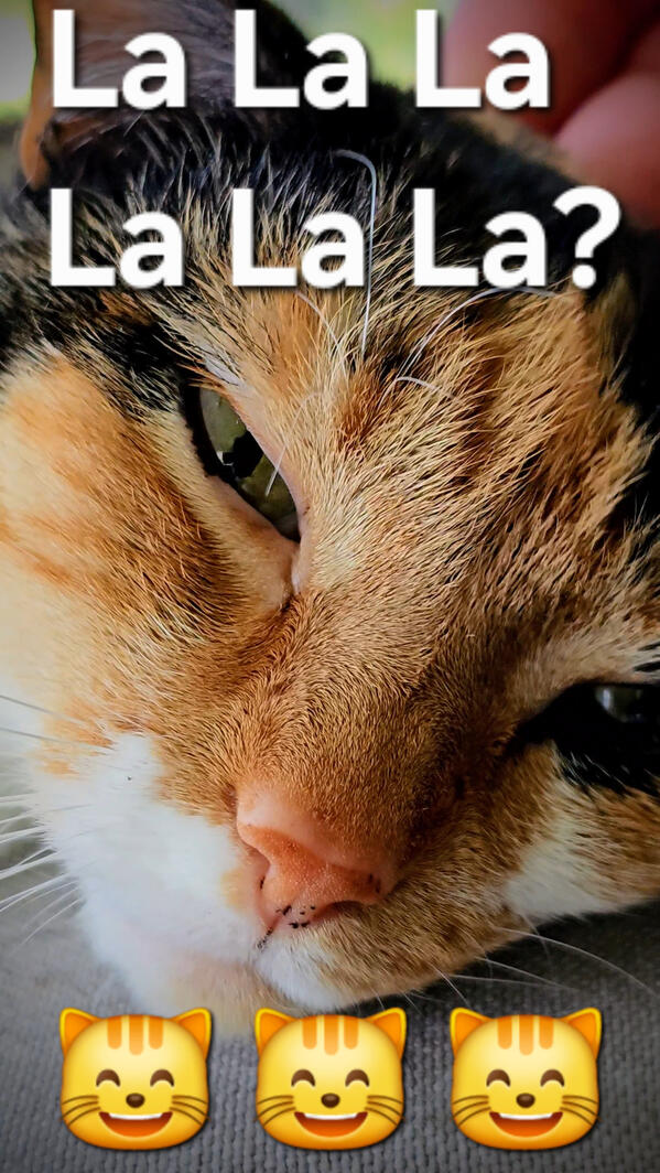 La La La 😺 La La La 😺